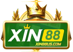 xin88us.com